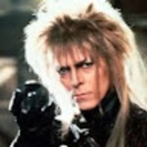 Meet your Posher, Anne